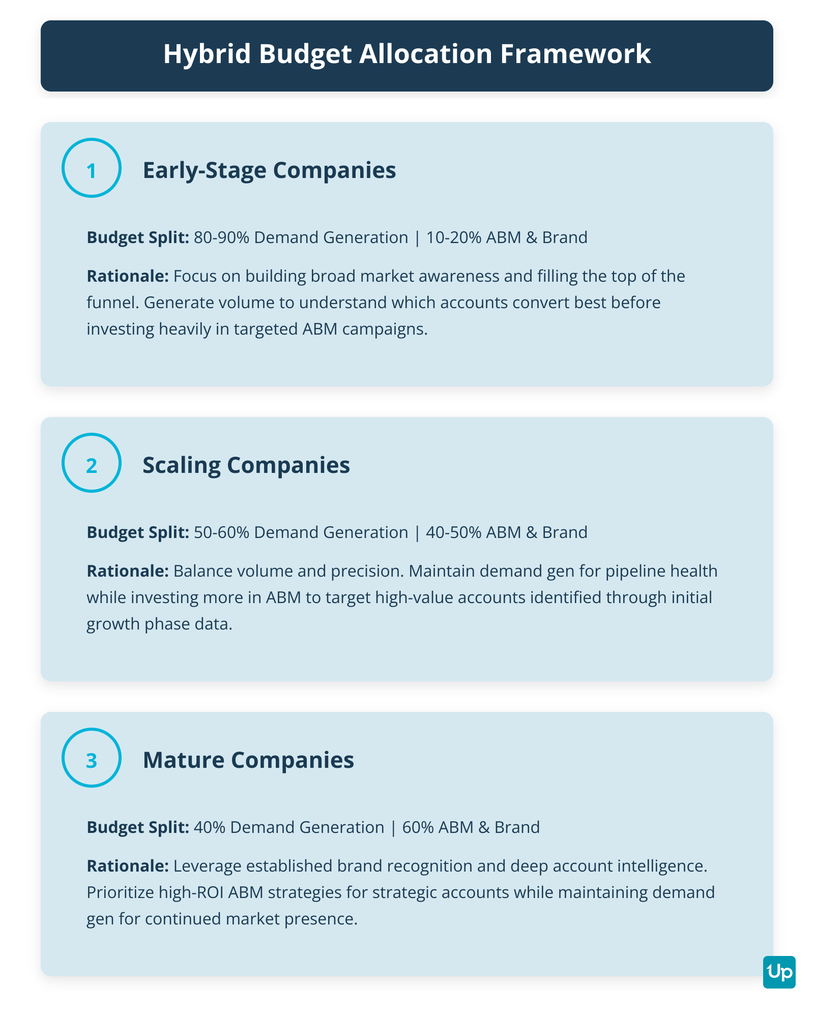 Budget Allocation by Company Growth Stage